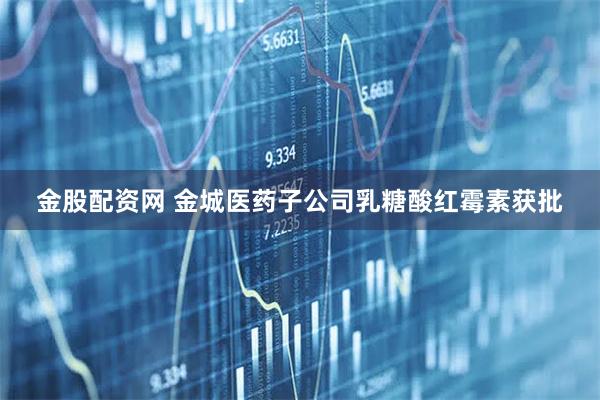 金股配资网 金城医药子公司乳糖酸红霉素获批