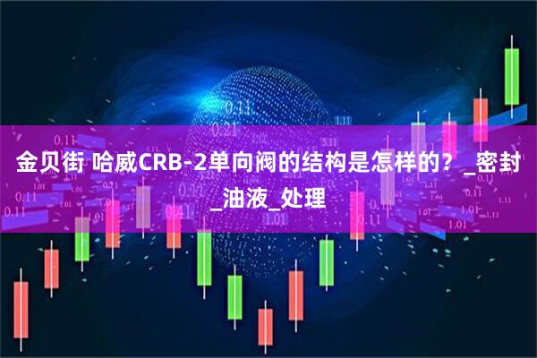金贝街 哈威CRB-2单向阀的结构是怎样的？_密封_油液_处理