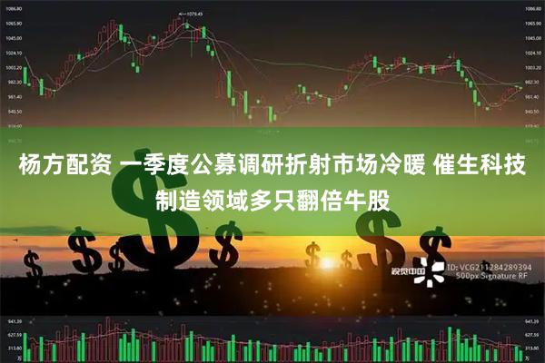 杨方配资 一季度公募调研折射市场冷暖 催生科技制造领域多只翻倍牛股